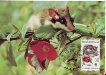 CM 010 A / 013 A - WWF velké razítko ● - 1996